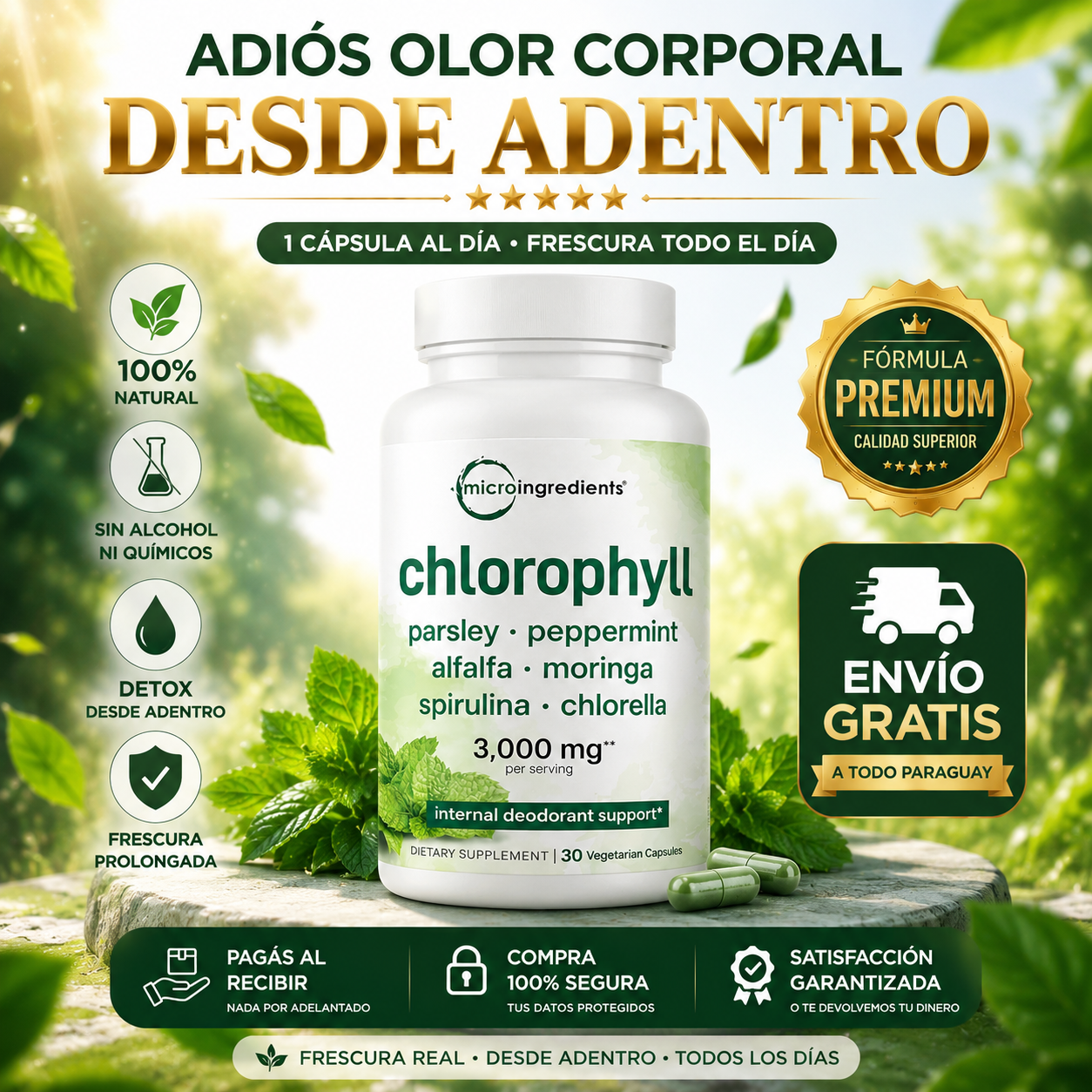 CLOROFILA EN CÁPSULAS 30